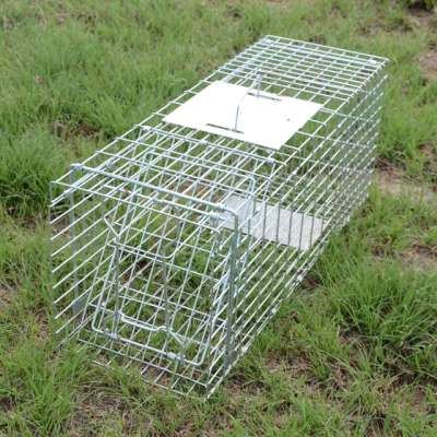 Heavy Duty Large Live Animal Trap For Coyote, Dog, Bobcat, Wolf, Mountain Lion,Fox